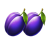 fortune bags plums symbol