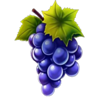fortune bolts grape symbol