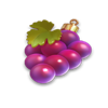 fortune christmas wild grapes symbol