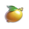 fortune christmas wild lemon symbol
