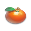 fortune christmas wild orange symbol