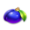 fortune christmas wild plum symbol