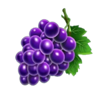 fortune clover 40 grape symbol