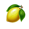 fortune clover 40 lemon symbol