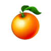 fortune clover 40 orange symbol