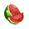 fortune clover 40 watermelon symbol