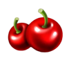 fortune crown 25 cherry symbol