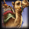 fortune falcon camel symbol