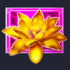 fortune filler imperial temple pink flower symbol