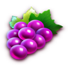 fortune five 20 lines grapes symbol