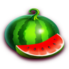 fortune five 20 lines watermelon symbol
