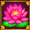 fortune gold prosperity lotus symbol