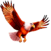 fortune hunter eagle symbol