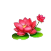 fortune paw flower symbol