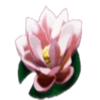 fortune pays lotus symbol