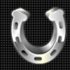 fortune race horseshoe symbol