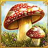 fortune spells buy bonus mushroom symbol