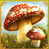 fortune spells mushroom symbol