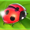 fortune tellers charm 6 mystic visions bug symbol