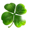 fortune tellers charm 6 mystic visions clover symbol