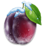 freezing classics 7