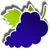 fresh fruits grapes symbol