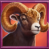 frontier falcon hold n link ram symbol