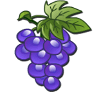 frooty licious grapes symbol
