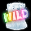 frozen fortunes bearwild symbol