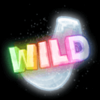 frozen fortunes wildj symbol