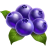 fruit burst blueberries symbol