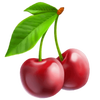 fruit burst cherry symbol
