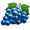 fruit burst grapes symbol