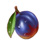 fruit circus symbol 5