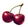 fruit fall fortunes cherry symbol