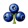 fruit fall fortunes club symbol