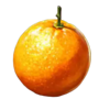 fruit fall fortunes orange symbol