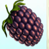 fruit farm blackberry symbol