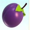fruit farm plum symbol