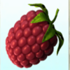 fruit farm raspberry symbol