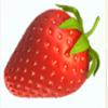 fruit farm strawberry symbol