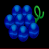 fruit jack grape symbol