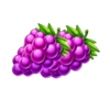 fruit lightning 3x5 grape symbol
