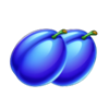 fruit lightning 3x5 plum symbol