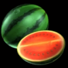fruit sensation watermelon symbol
