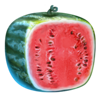 fruit shifter sunset jackpots watermelon symbol