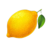 fruit storm diamond treasures lemon symbol