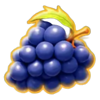 fruitferno 40 purple grapes symbol