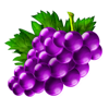 fruiti grape symbol