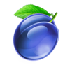 fruiti plum symbol